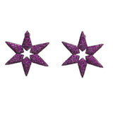 Aretes Estrella Sirio